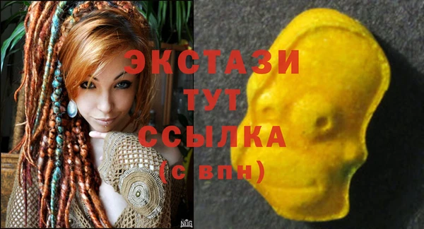 ECSTASY Алзамай
