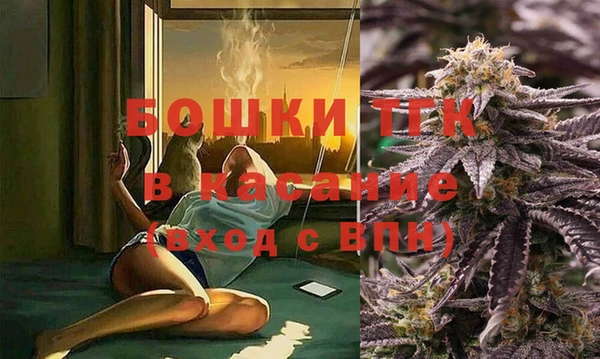 ECSTASY Алзамай