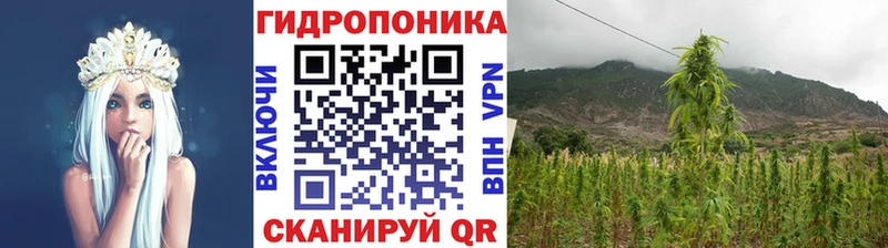 Шишки марихуана конопля  даркнет сайт  Оленегорск 